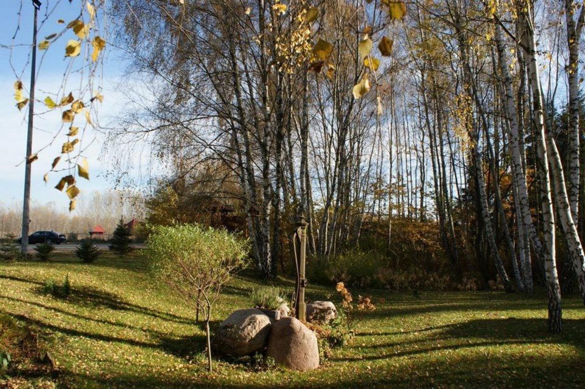 ogród/taras, restauracja na wesele